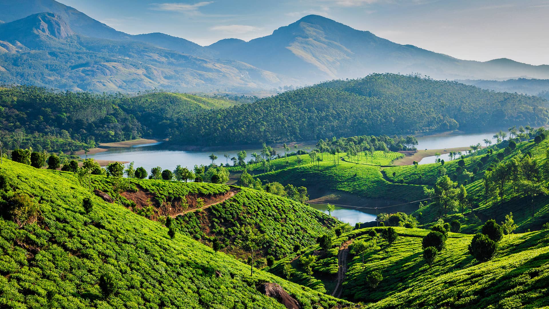  Experience Kerala’s Beauty While You Heal